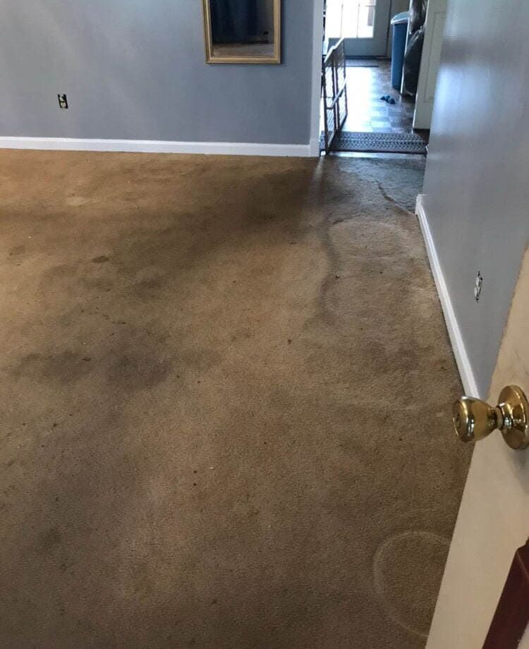 A room with a carpet - before