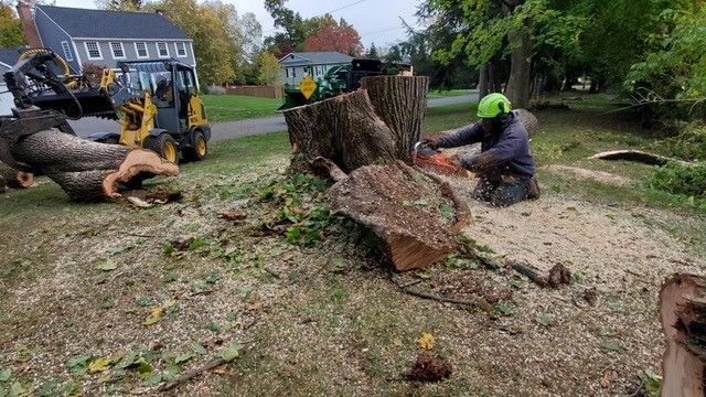 A man is cutting a tree stump with a chainsaw
