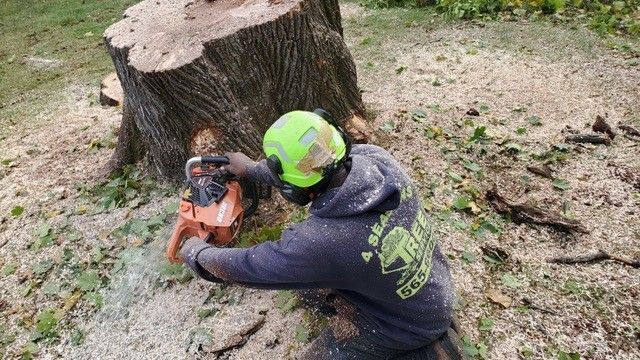 Tree stump removal