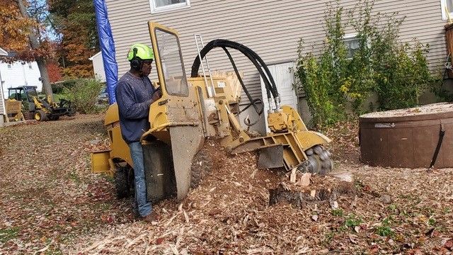 A man is using a machine to remove a tree stump
