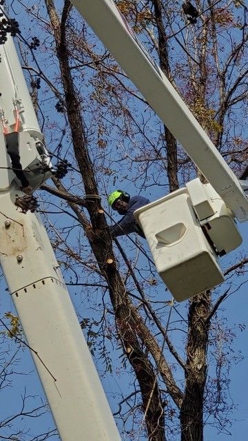A man in a white crane is cutting a tree