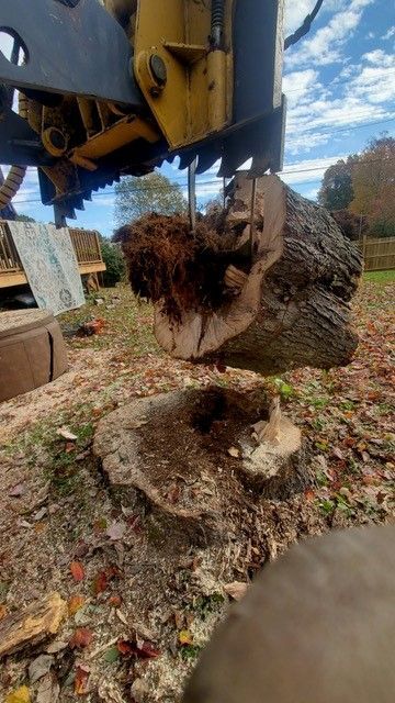 A large tree stump is being removed by a machine