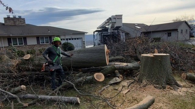 A man is standing next to a large tree stump in front of a house