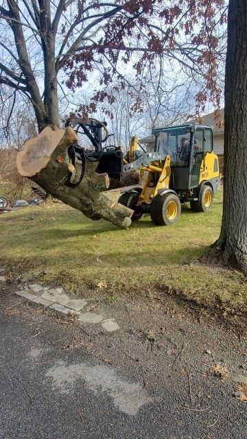 A large tree stump is being lifted by a bulldozer