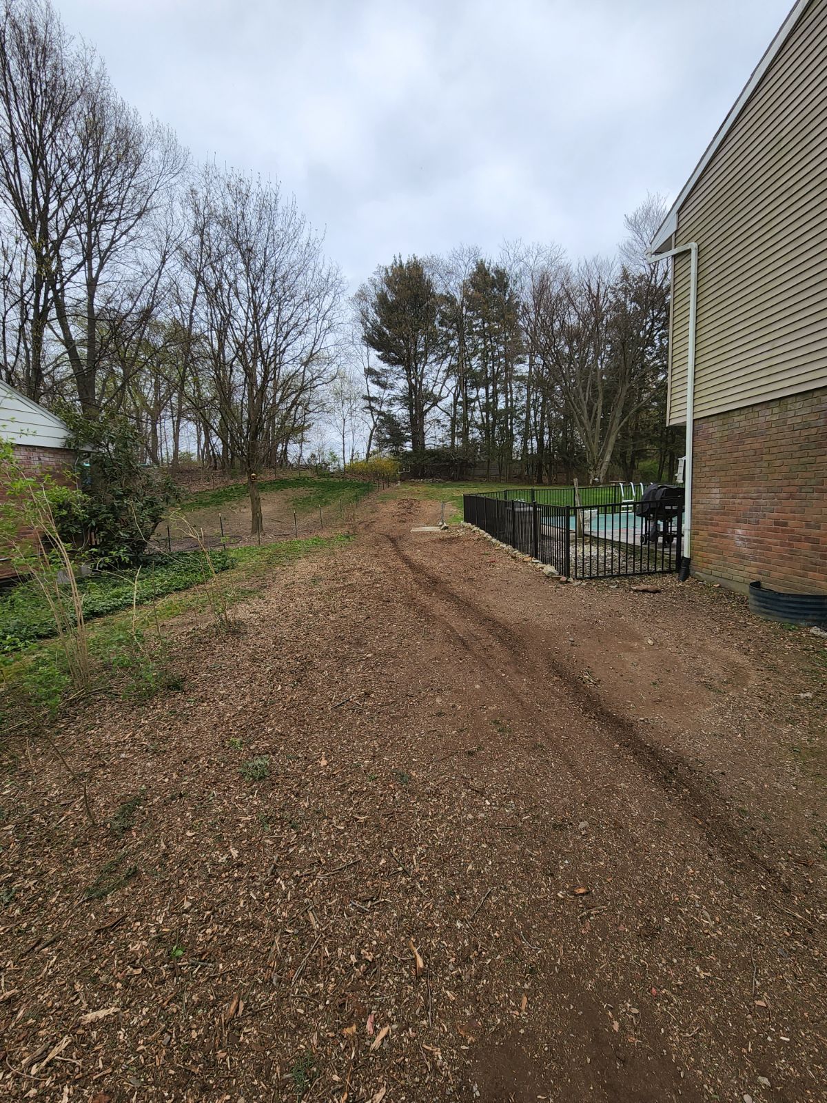 Clear path after tree removal