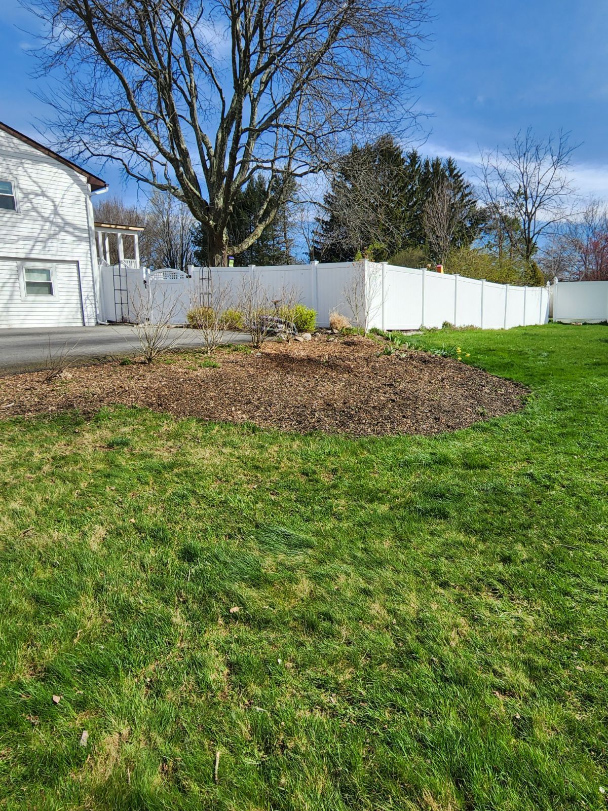 Lawn after tree removal