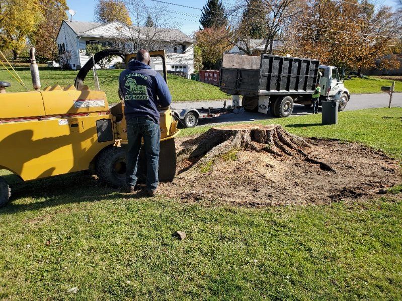 A man is removing a tree stump using a machine