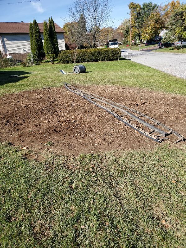 Field after stump removal