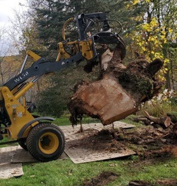 A large piece of wood is being lifted by a crane