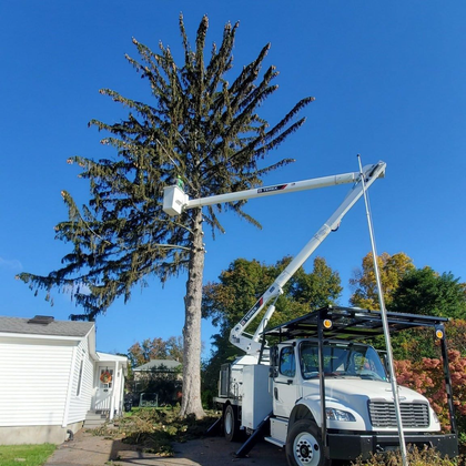 A white truck with a crane attached to it is cutting a tree