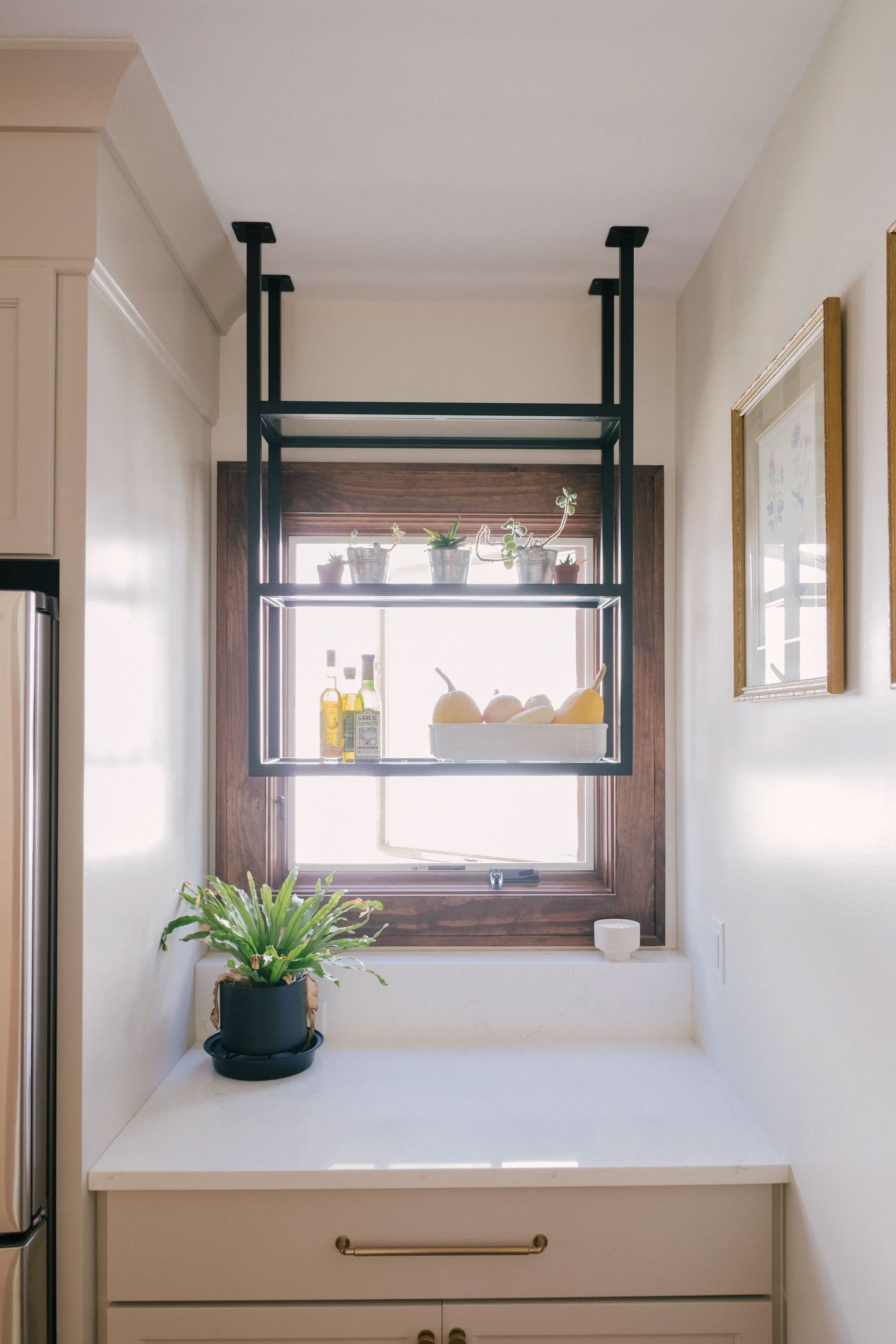 Black metal hanging shelves above a kitchen window, displaying plants and kitchen items.
