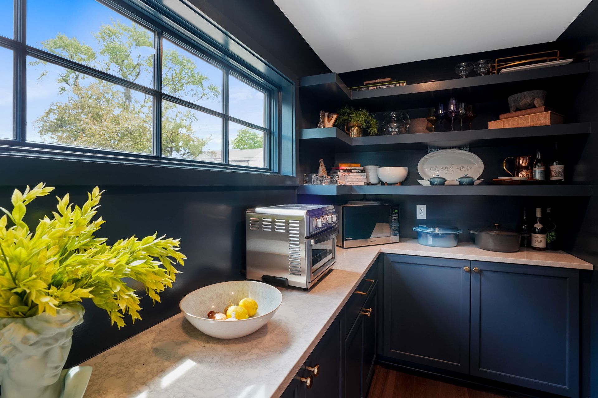Dark blue pantry with shelves, window, countertops, and appliances.
