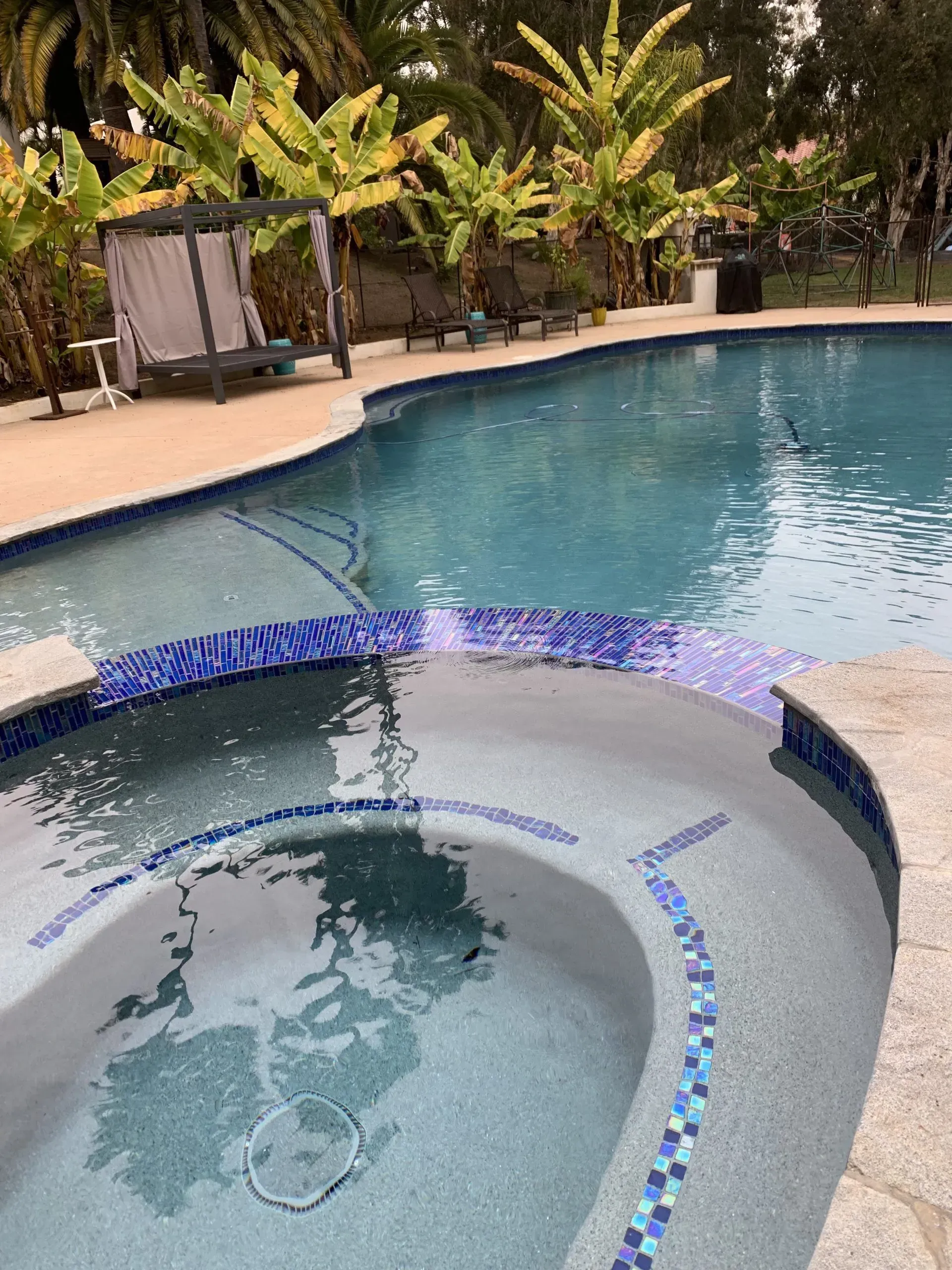 Pool and hot tub with blue tile accents, surrounded by a patio and tropical plants.