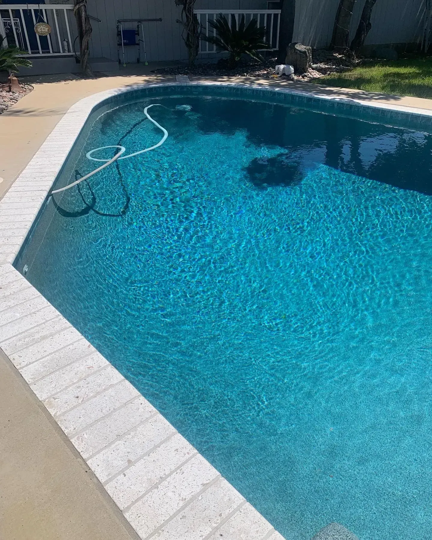 Swimming pool with white brick border and blue water. A white hose rests in the pool.