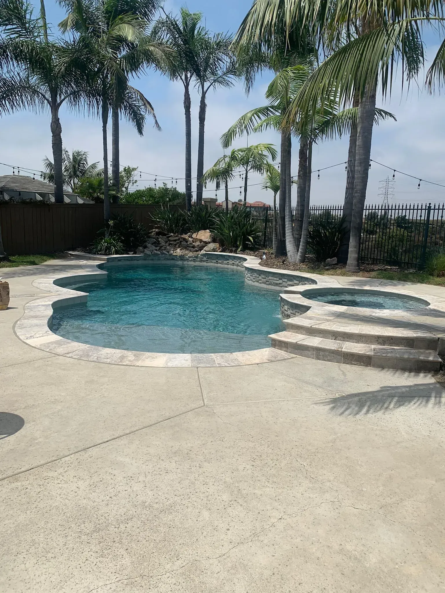 Swimming pool surrounded by palm trees and patio. Blue water and clear sky.