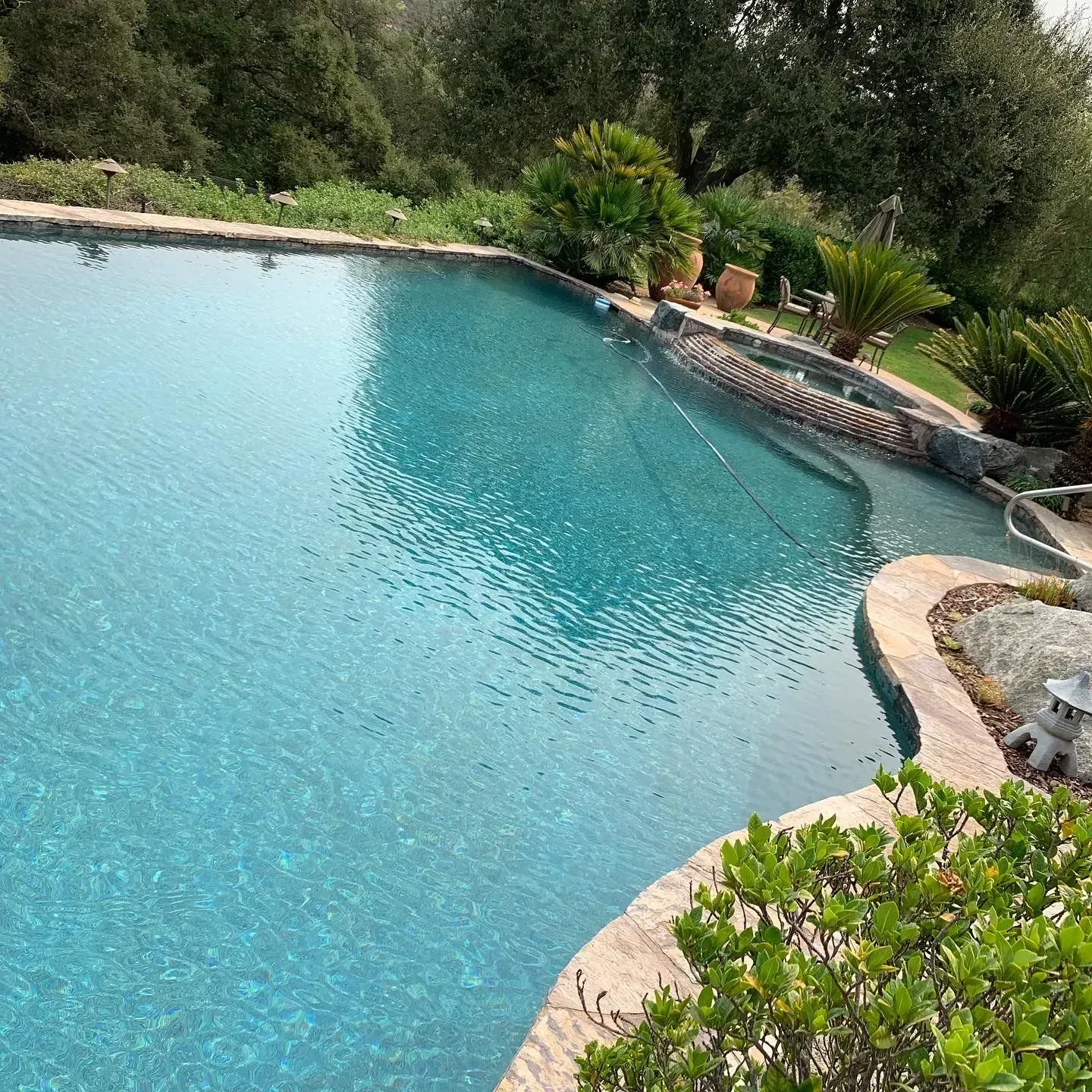 Blue pool with stone edging surrounded by green plants and trees.