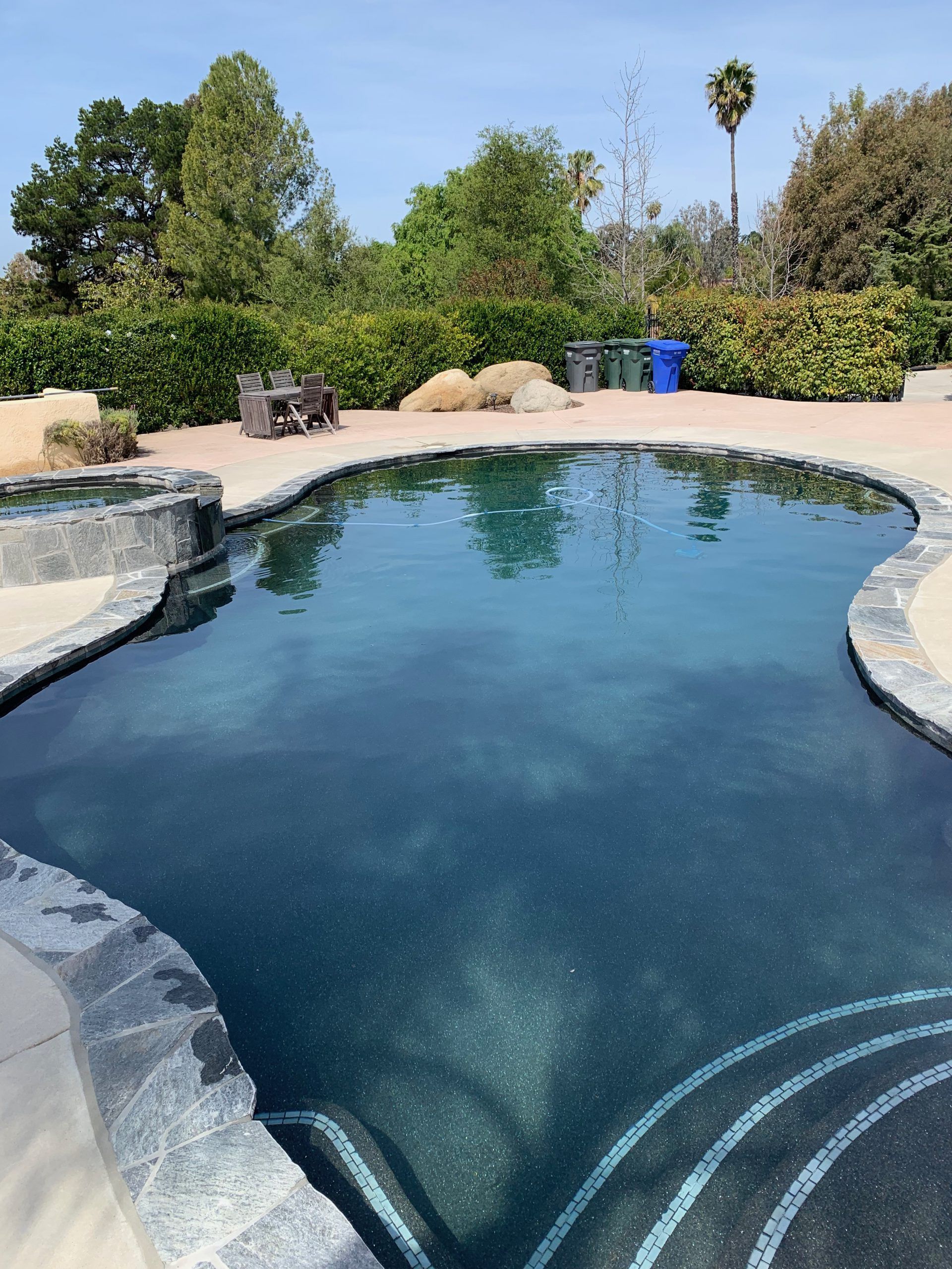 A dark-bottomed swimming pool with stone edging. Trees and sky in the background.