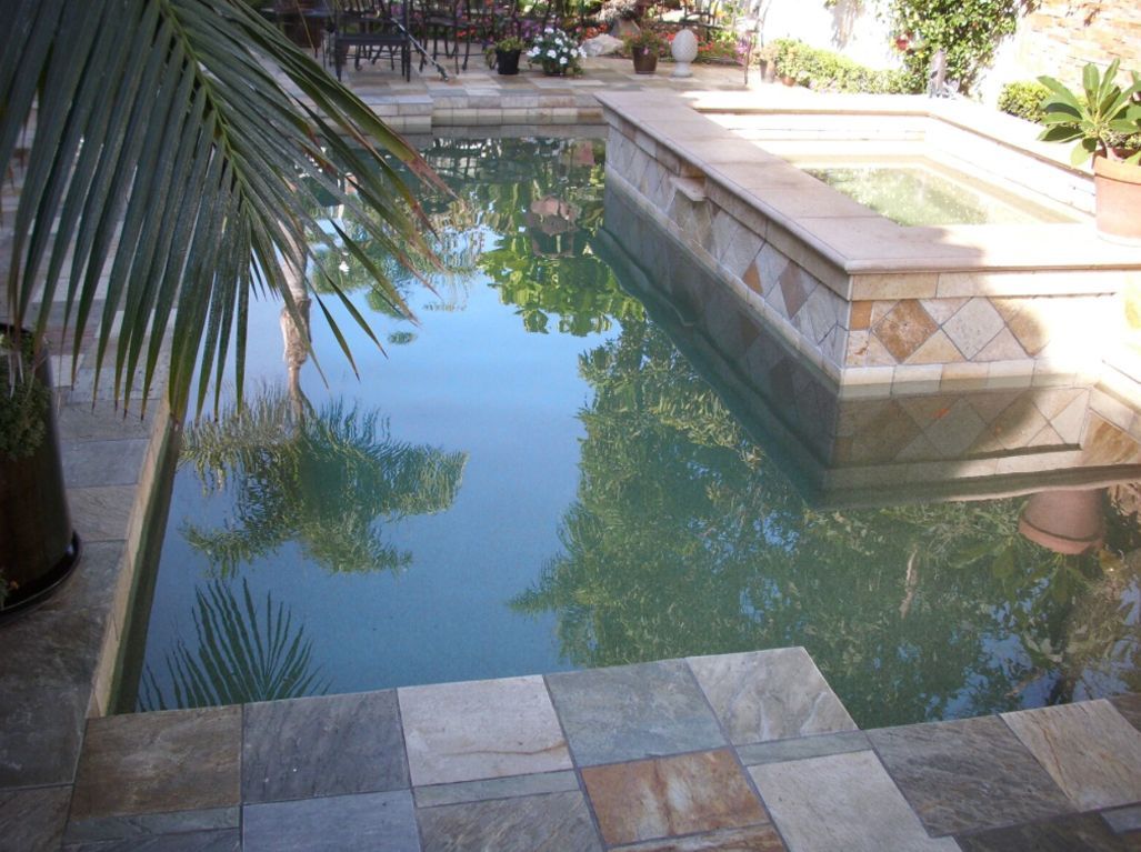 Swimming pool with attached spa, stone tiling, palm tree, and reflections of trees and sky.