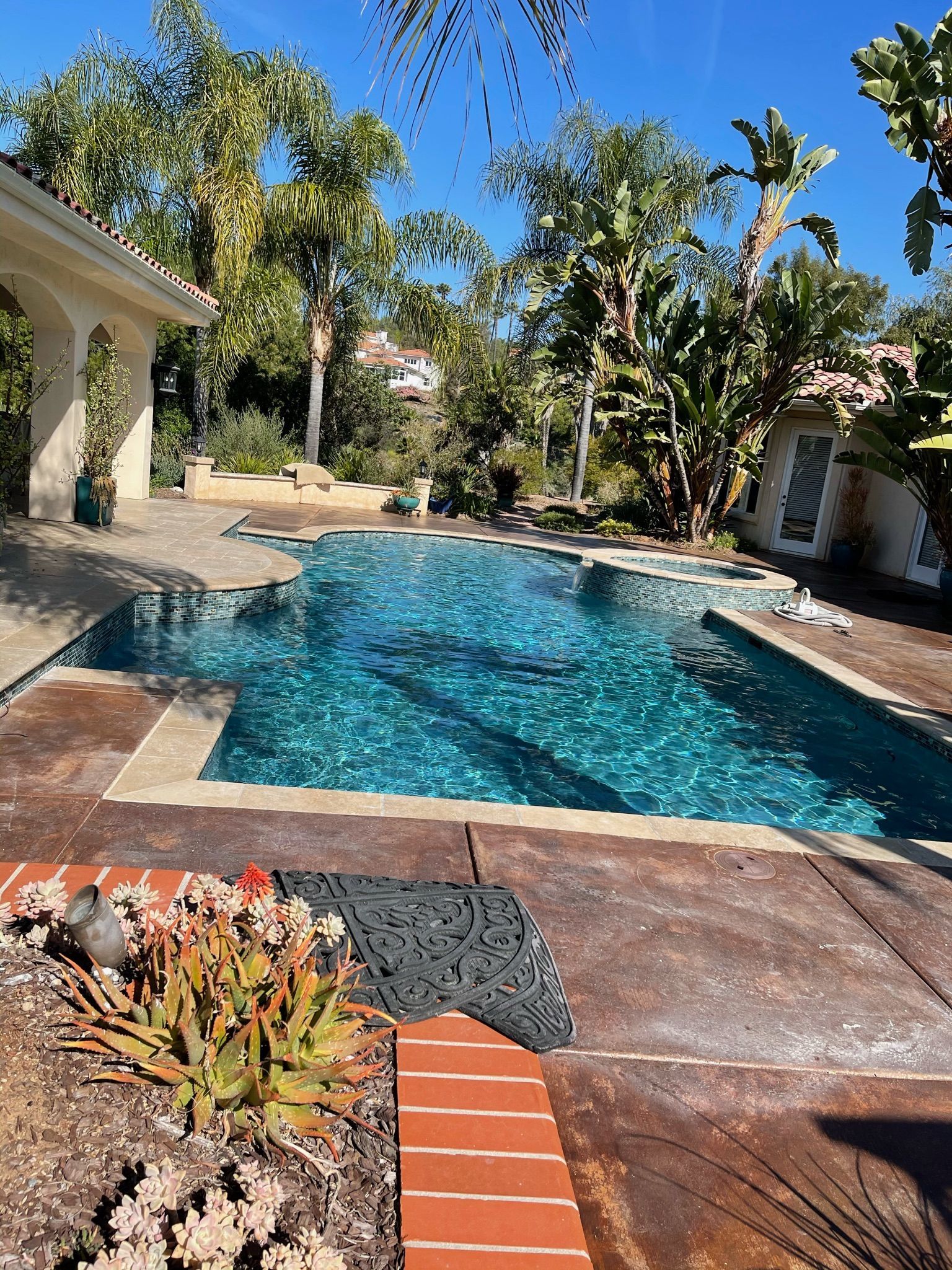 Backyard pool scene with turquoise water, surrounded by concrete and landscaping, under a sunny sky.