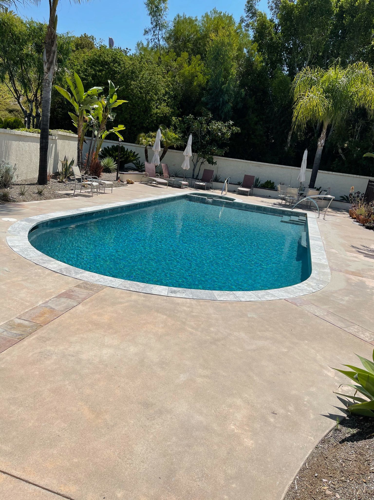 Pool surrounded by concrete and landscaping. Blue water, sunny day, trees in the background.