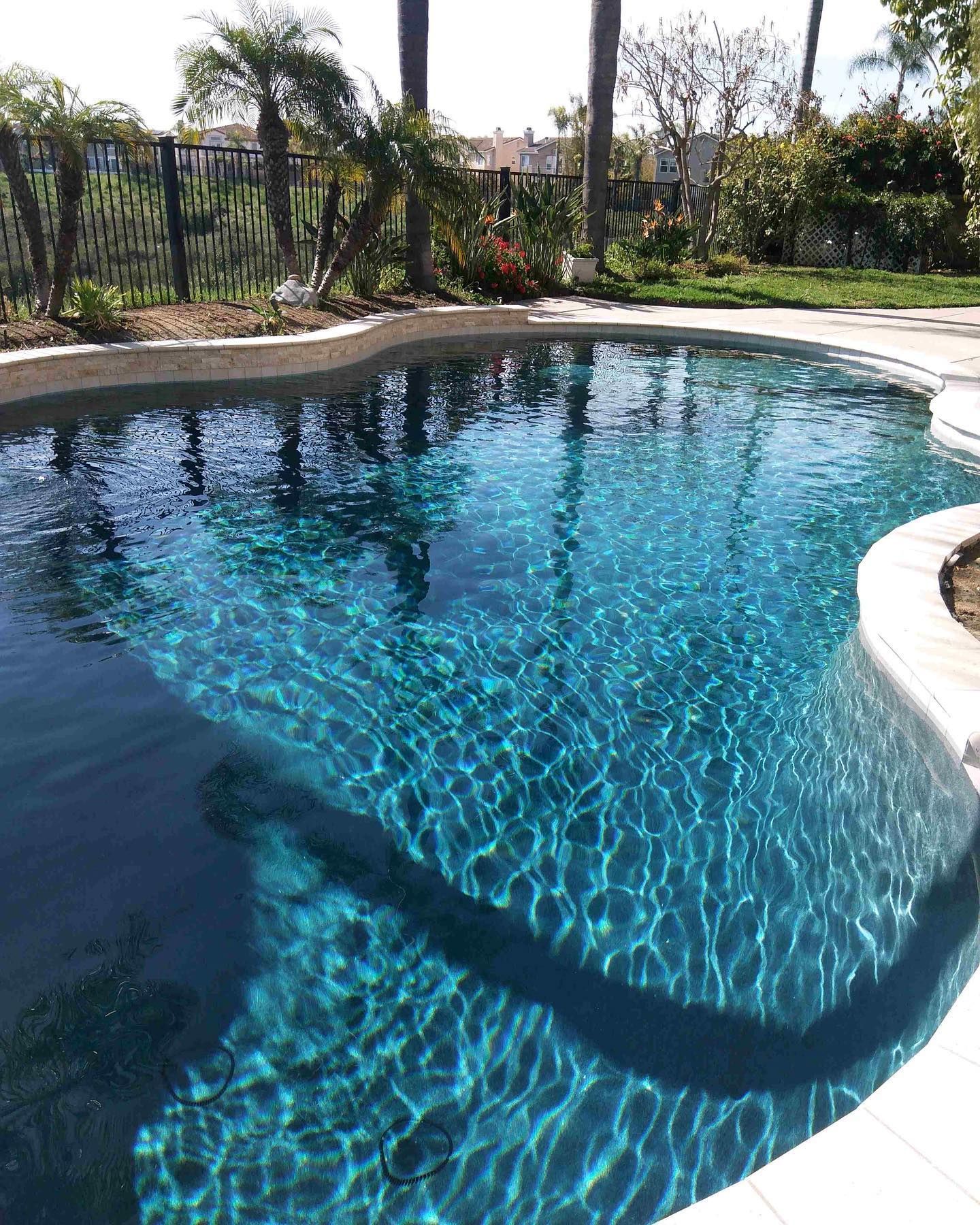 Swimming pool with blue water, surrounded by light-colored tile and vegetation, with a black fence in the background.