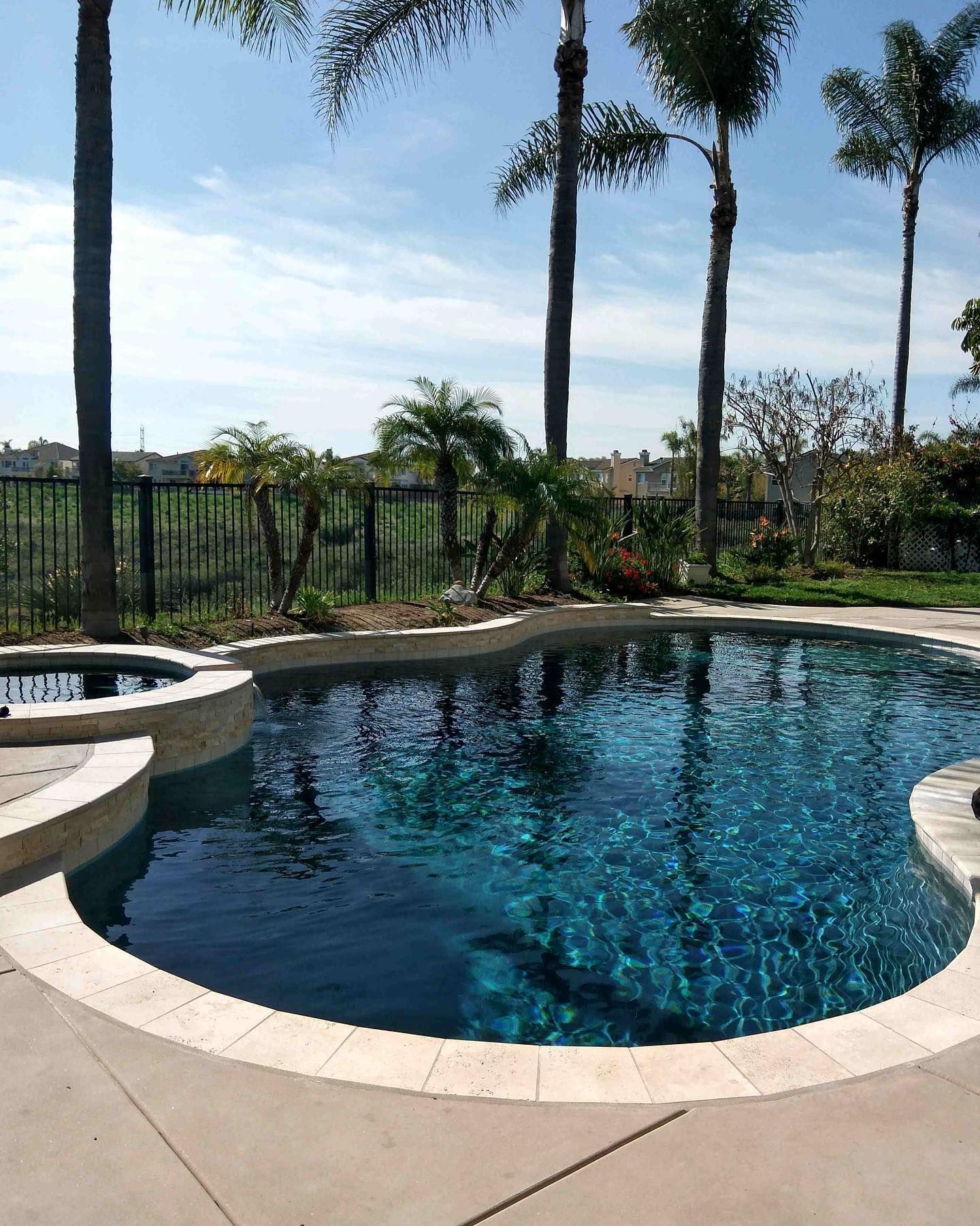 Swimming pool with palm trees under a blue sky. Turquoise water, beige stone border, and a black fence in the background.