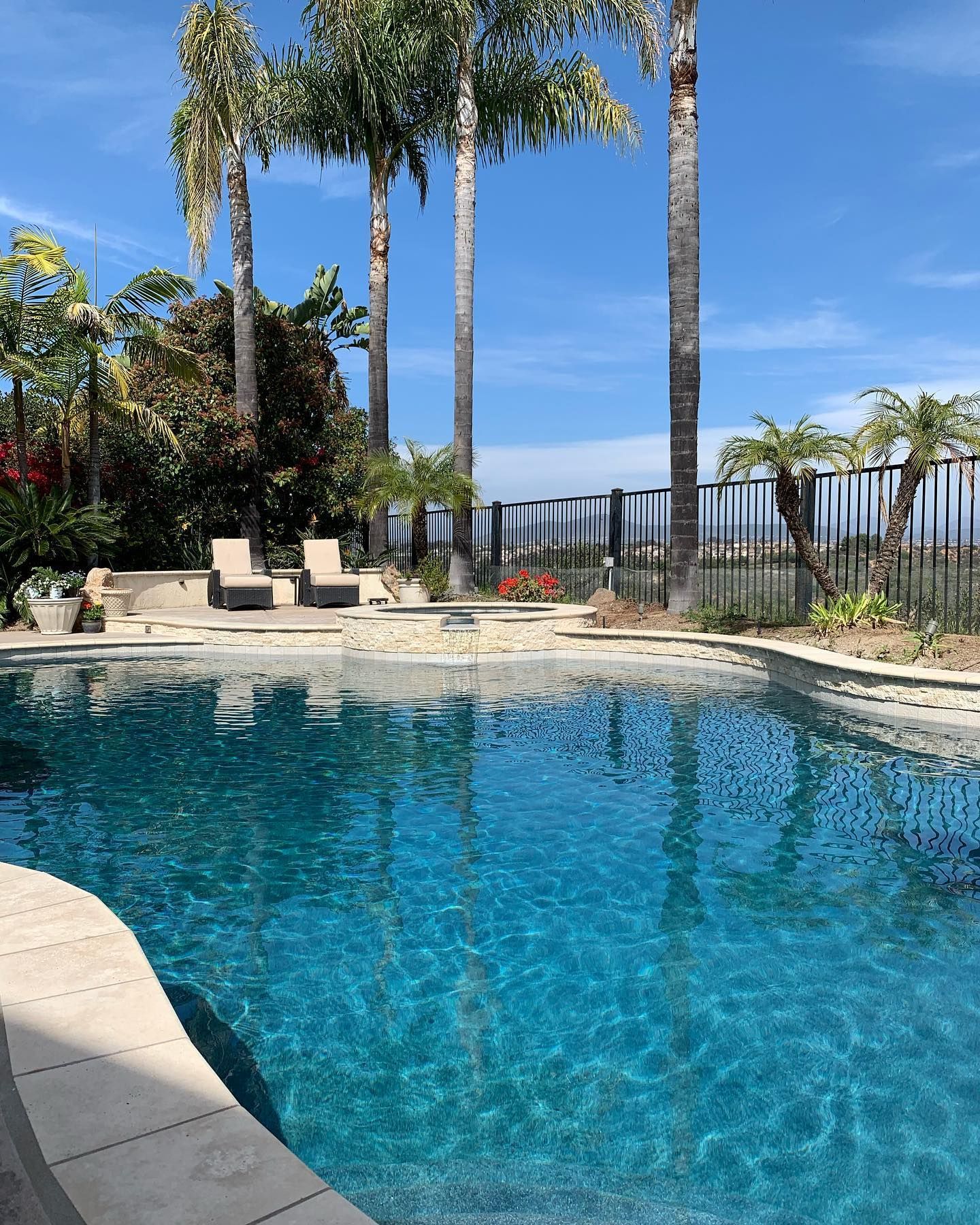 Swimming pool with clear blue water and palm trees under a sunny sky.