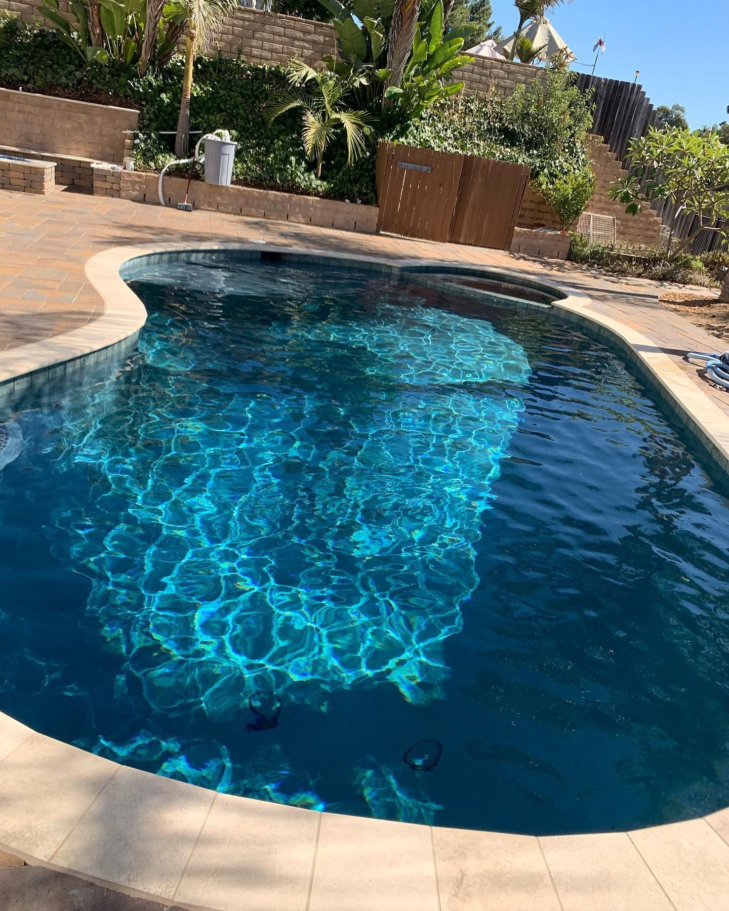 A shimmering blue swimming pool with curved edges, surrounded by paving stones and lush greenery.
