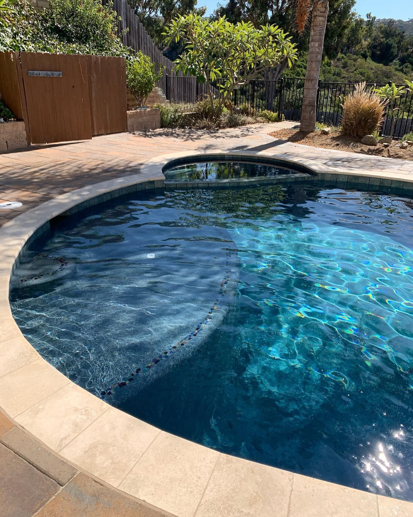 Pool with dark blue water and a light-colored stone border, in an outdoor setting with greenery.