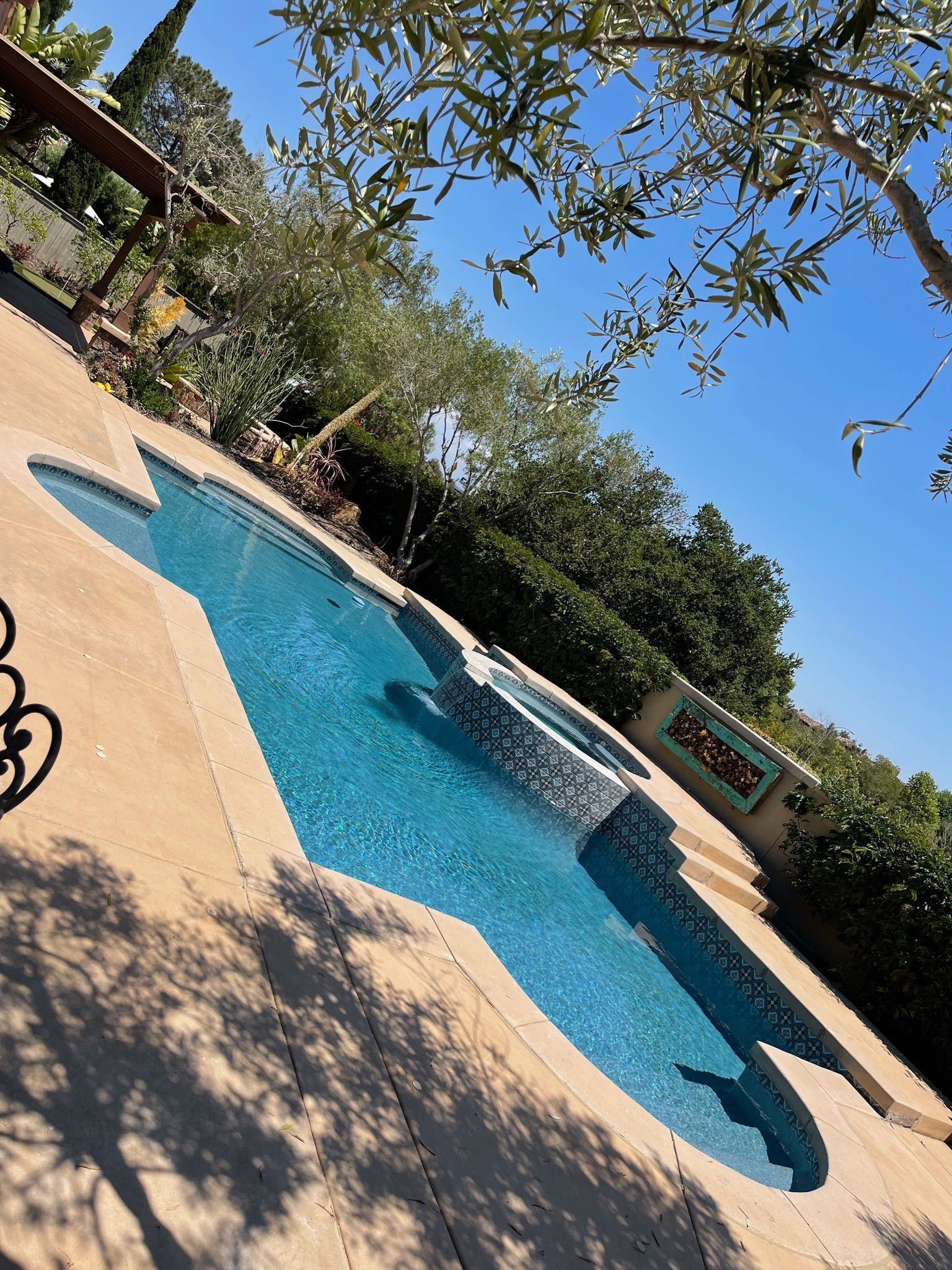 A turquoise pool with tan decking, under a blue sky, surrounded by greenery.