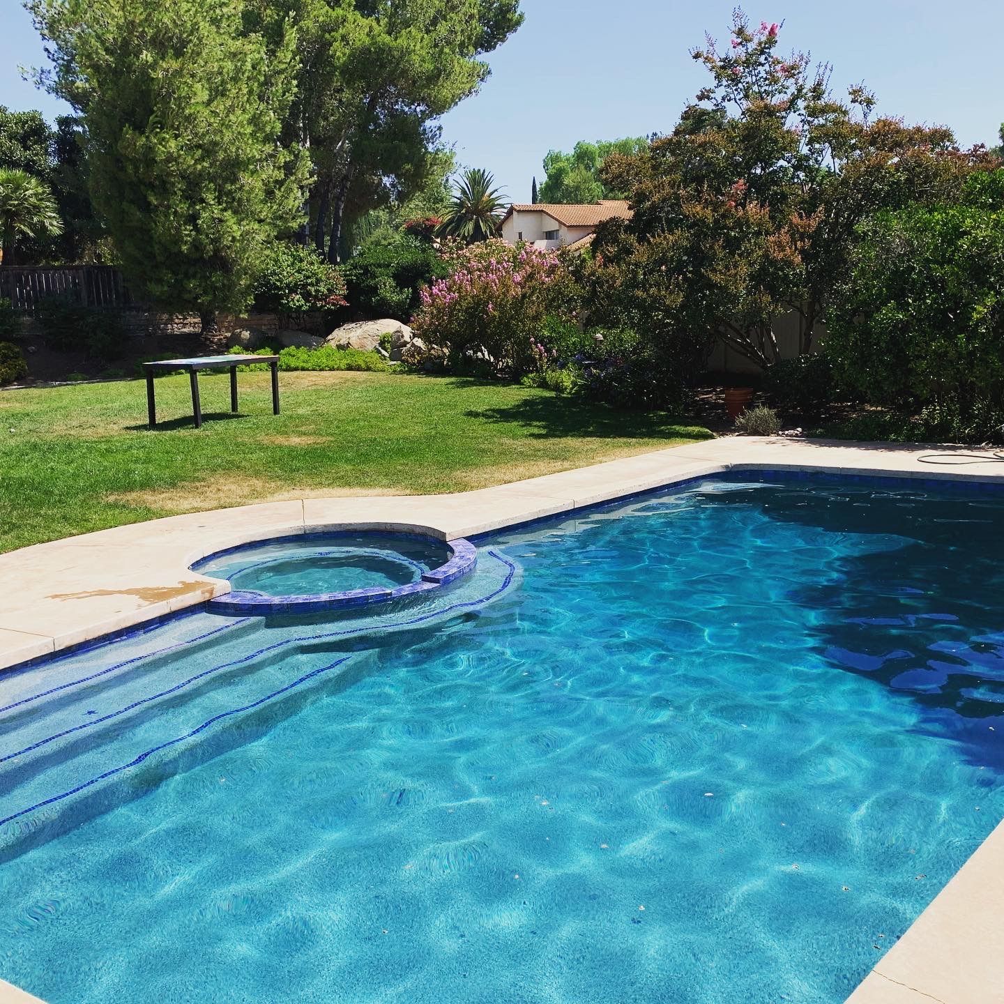 Blue pool with attached spa, surrounded by green grass, trees, and a house under a sunny sky.