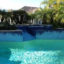 Swimming pool with blue tiles and a house in the background, surrounded by palm trees.