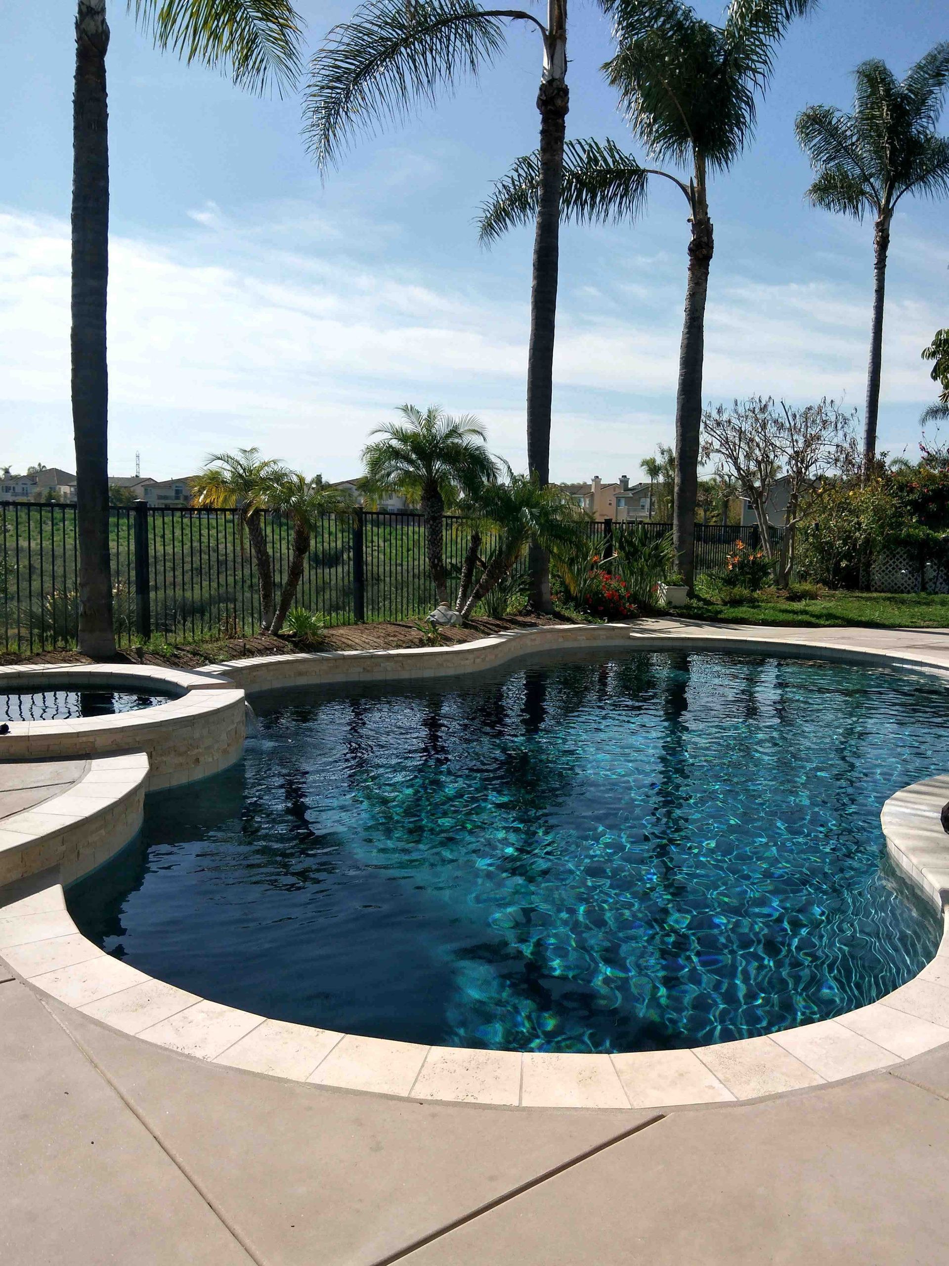 Swimming pool with dark blue water surrounded by beige stone. Palm trees and a fence are in the background.
