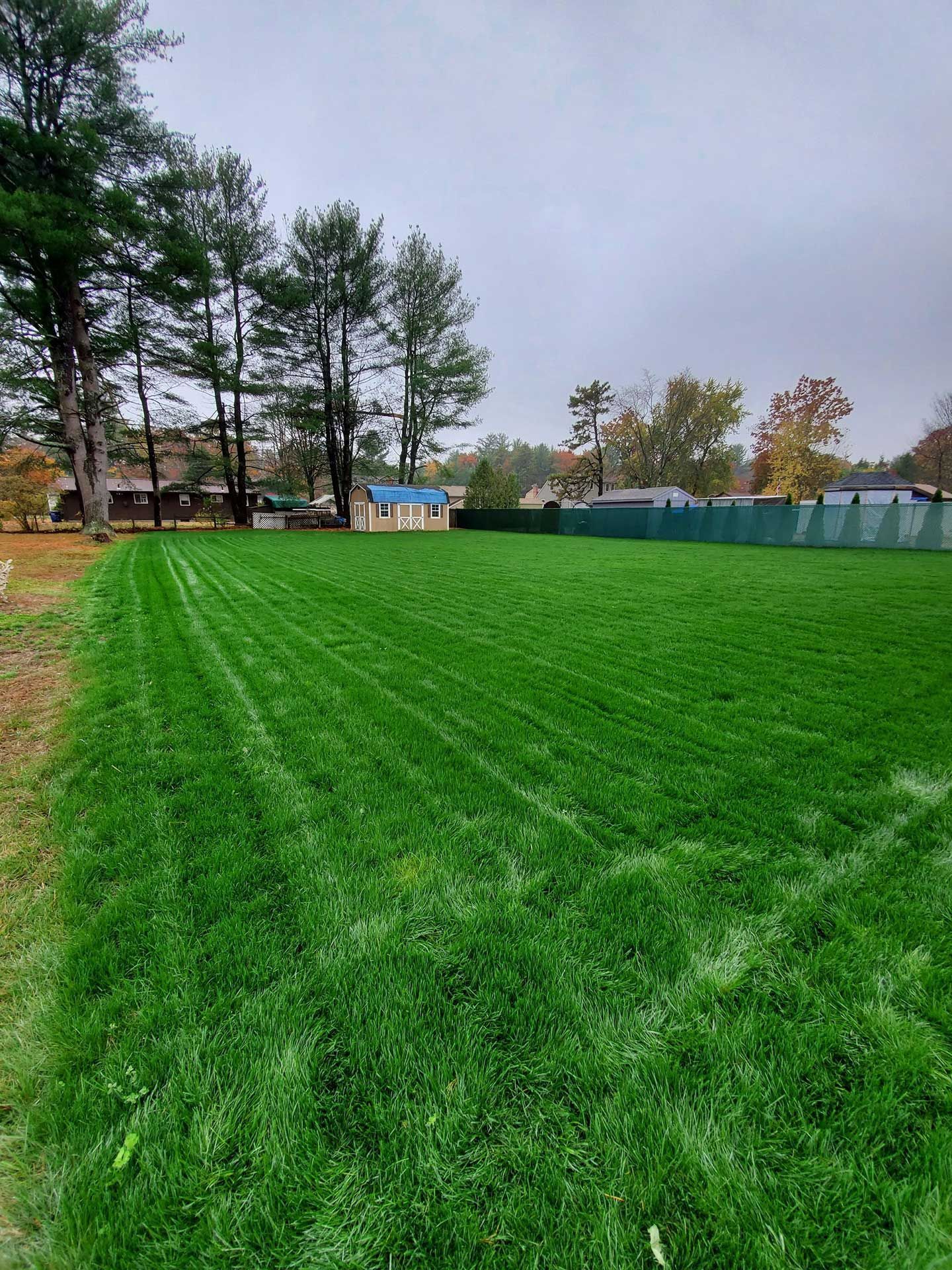 Hopkins lawn care - after