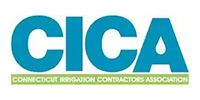 CICA logo: Blue letters on white background. Green banner below reads 