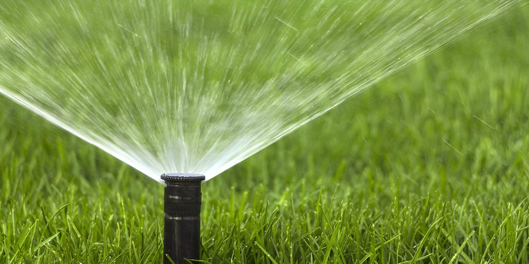 Sprinklers watering green grass, spraying water into the air.