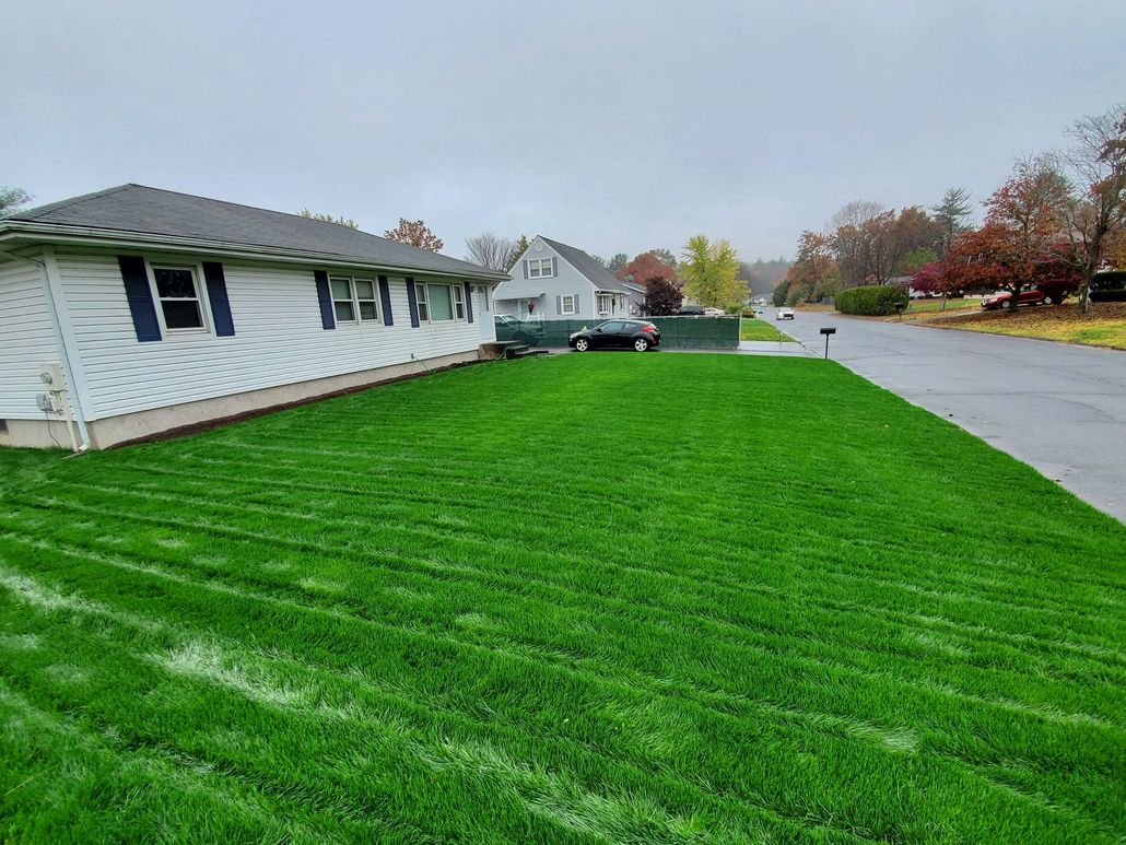 Green lawn next to a white house