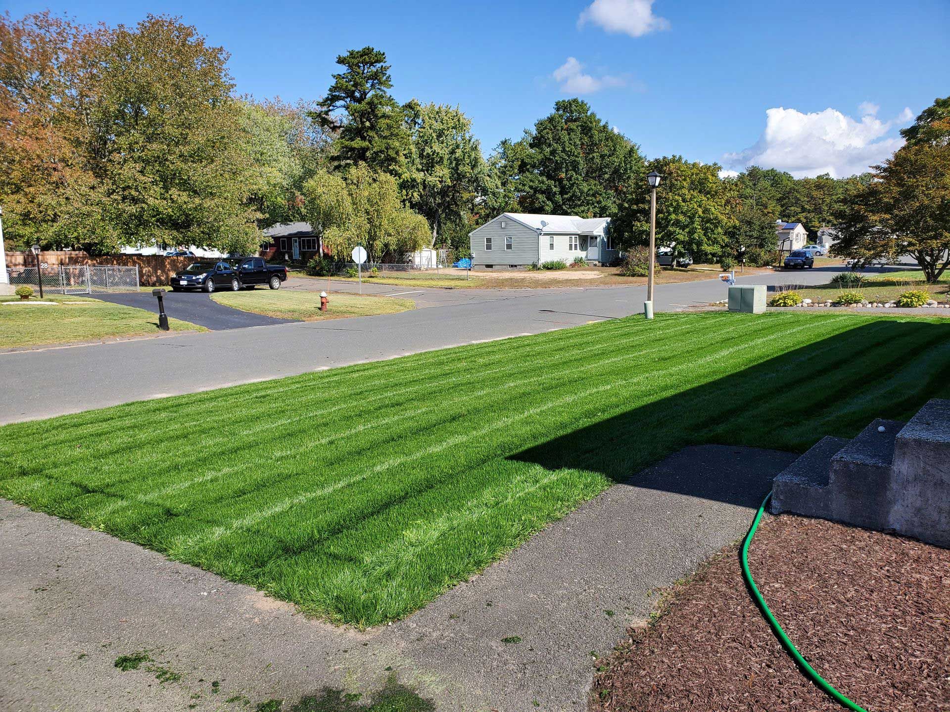 A freshly mowed, striped lawn in a suburban yard on a sunny day with houses and trees in the background.
