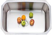 A stainless steel sink with fruit in it.