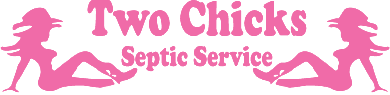 Two Chicks Septic - Logo