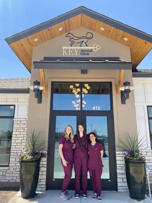 Three veterinary staff in maroon scrubs pose outside Key Animal Clinic.