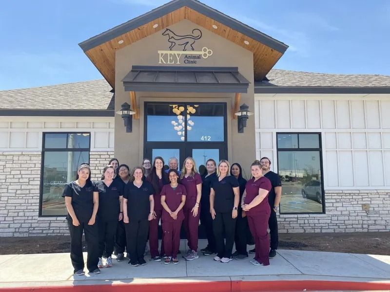 Staff of a veterinary clinic posing outside, wearing scrubs. Building has a logo and wood accents.