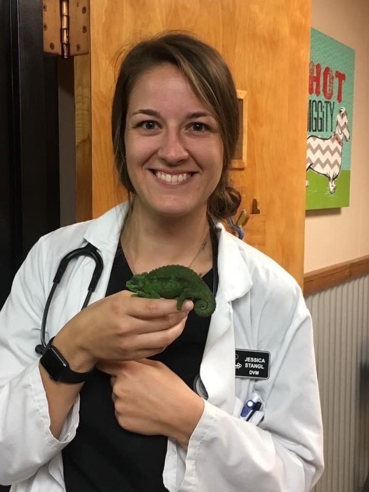 Veterinarian smiling, holding a green chameleon. Wearing white coat, stethoscope. Indoors, with sign 
