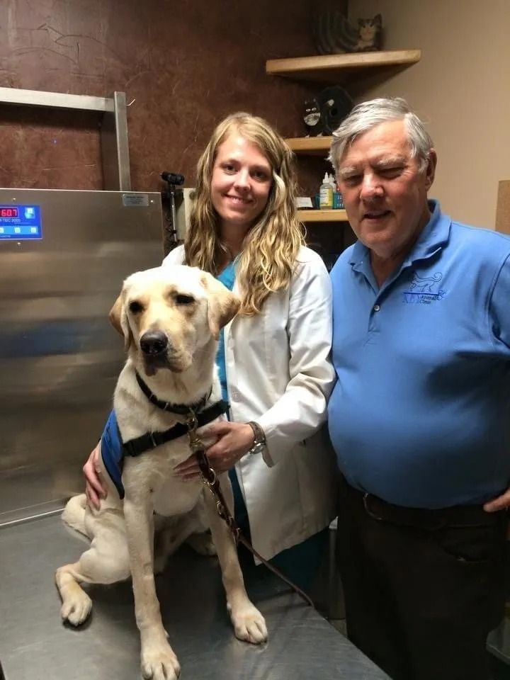 A yellow lab with two people in a vet's office. The woman is a vet. The man is likely the dog's owner.