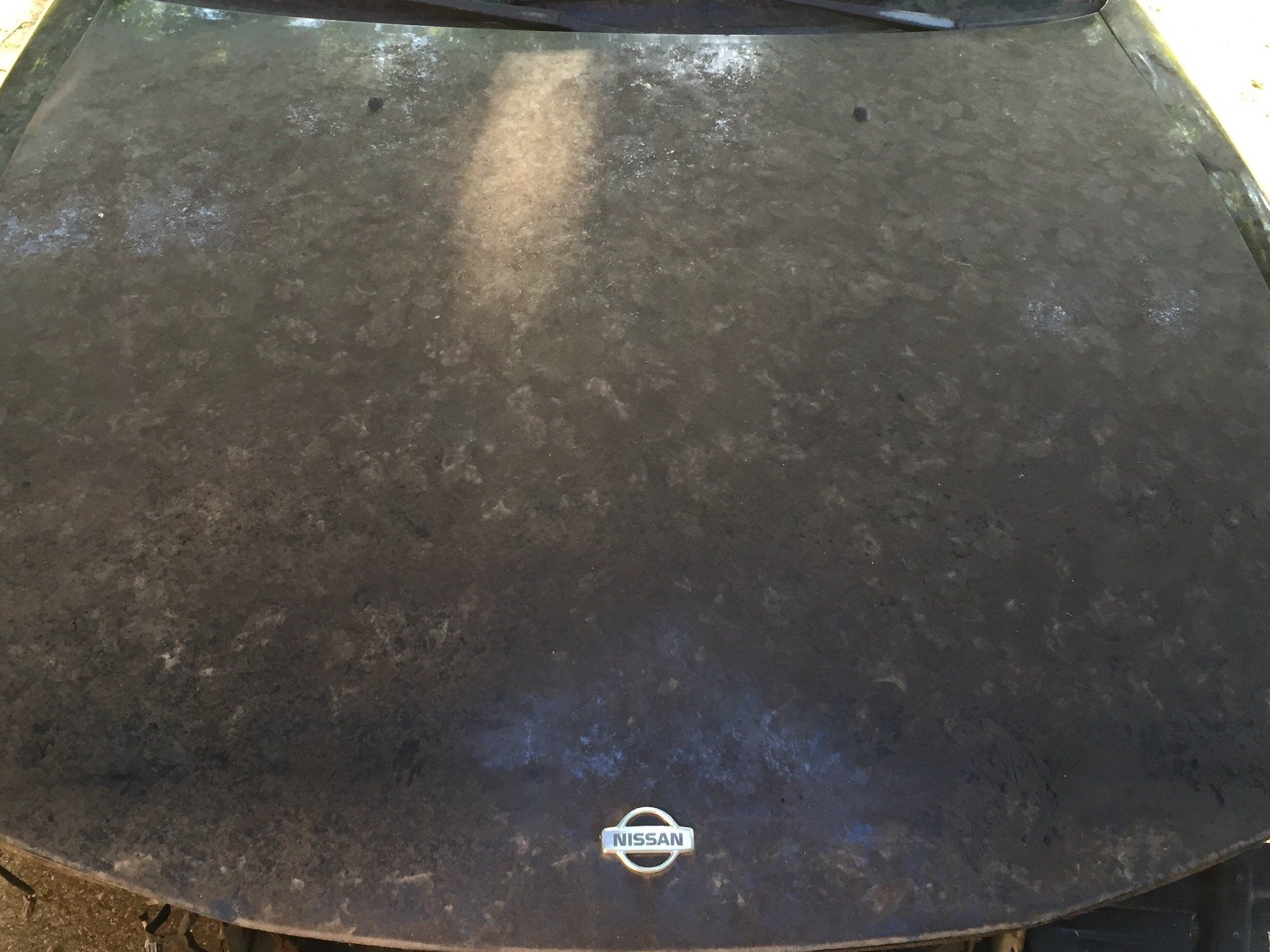 Paint correction service