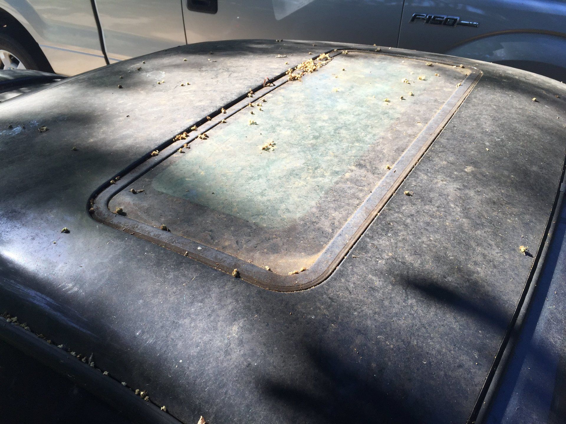 Paint correction service