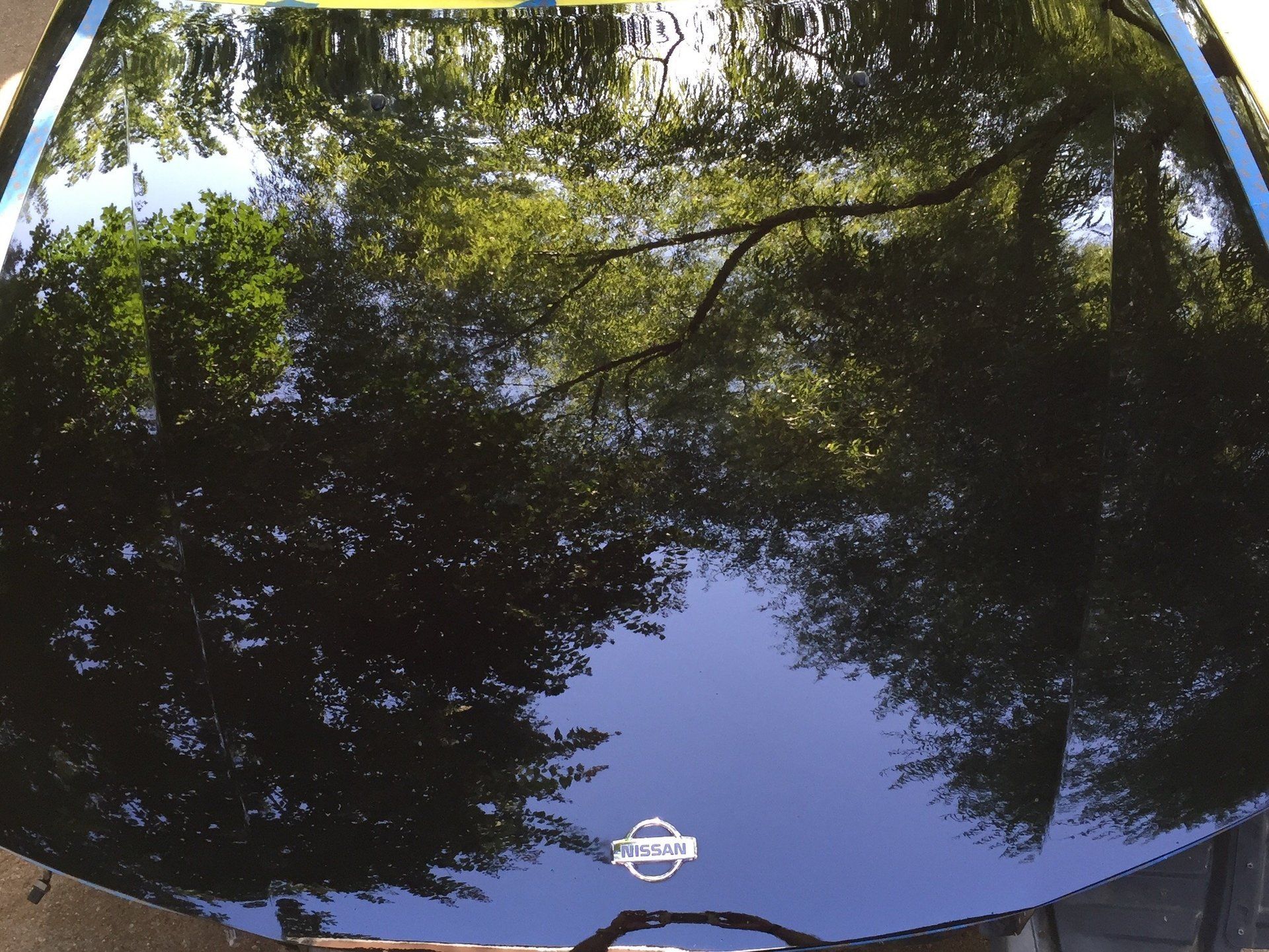 Paint correction service