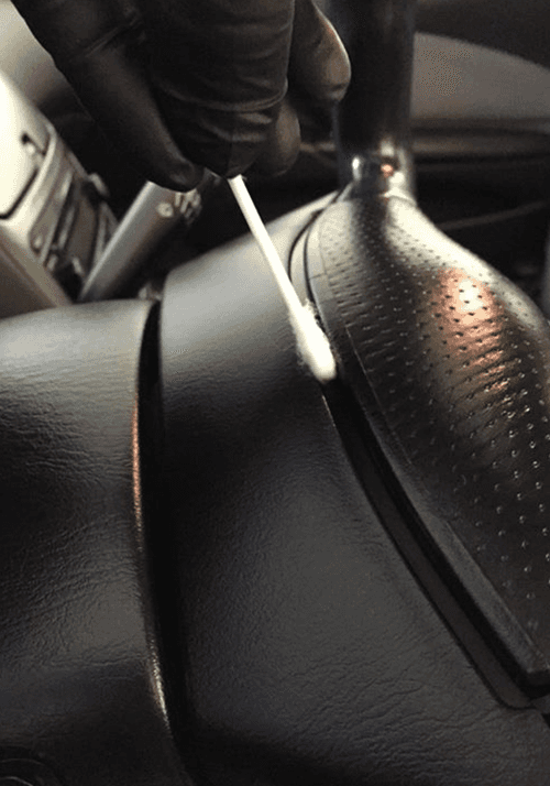 The Detailing Pros project