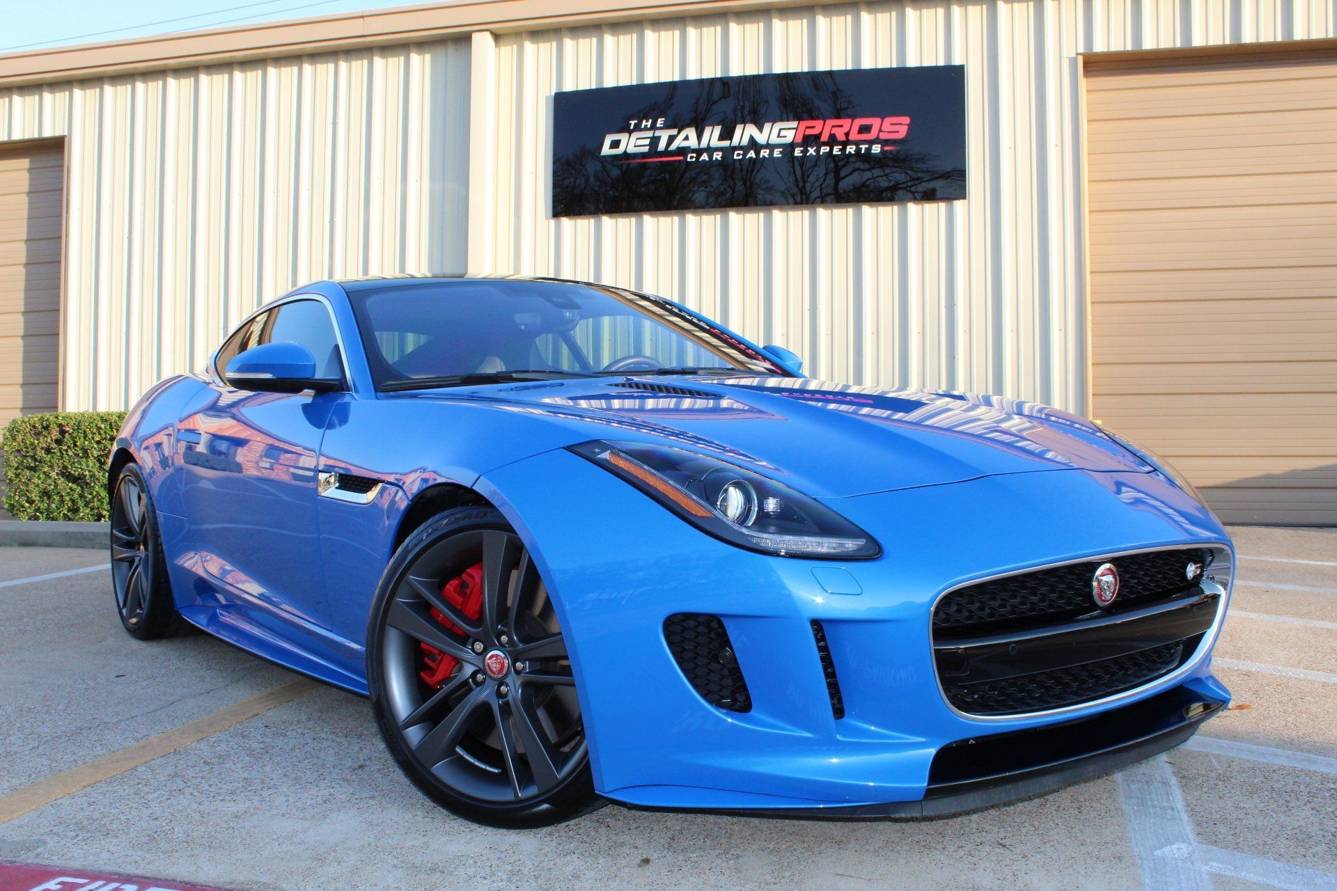 The Detailing Pros project