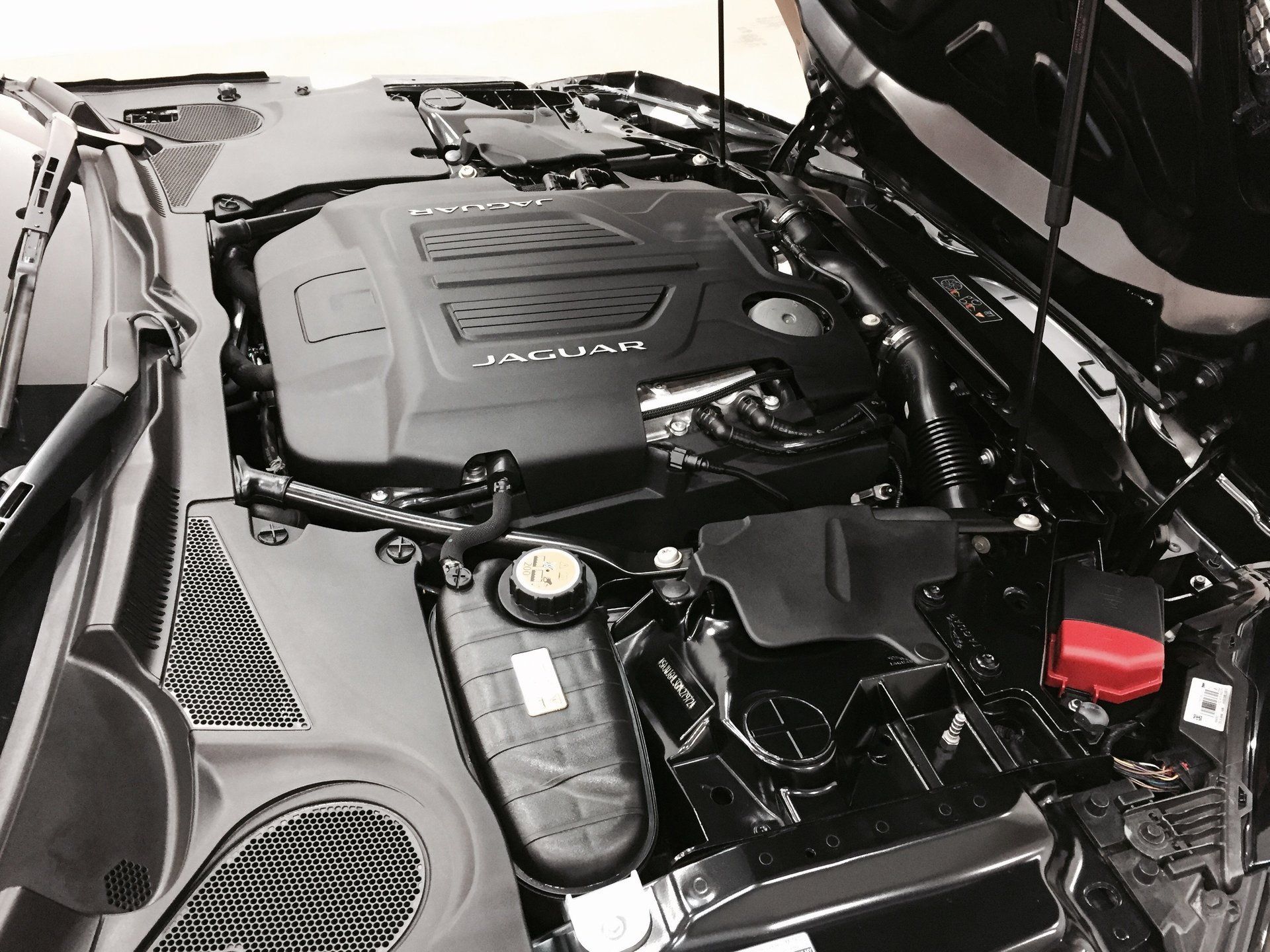 Engine Cleaning and Protection